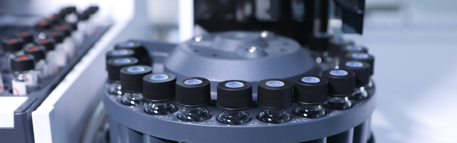 业务领域横幅图